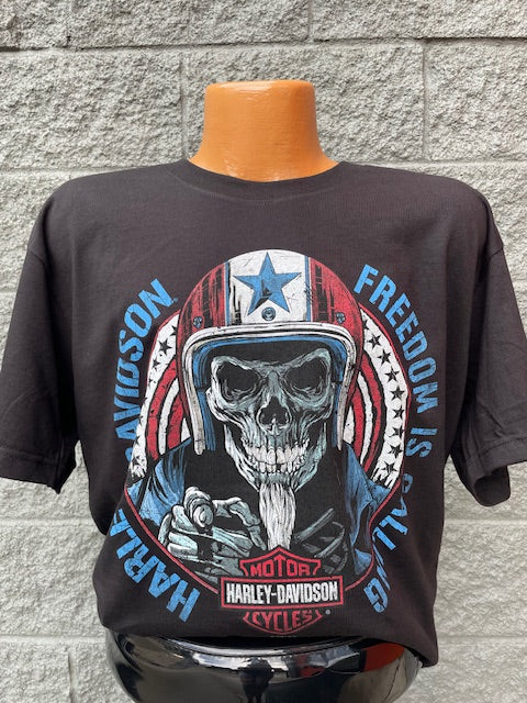 Vintage Harley Davidson Skull newest Tee T-shirt