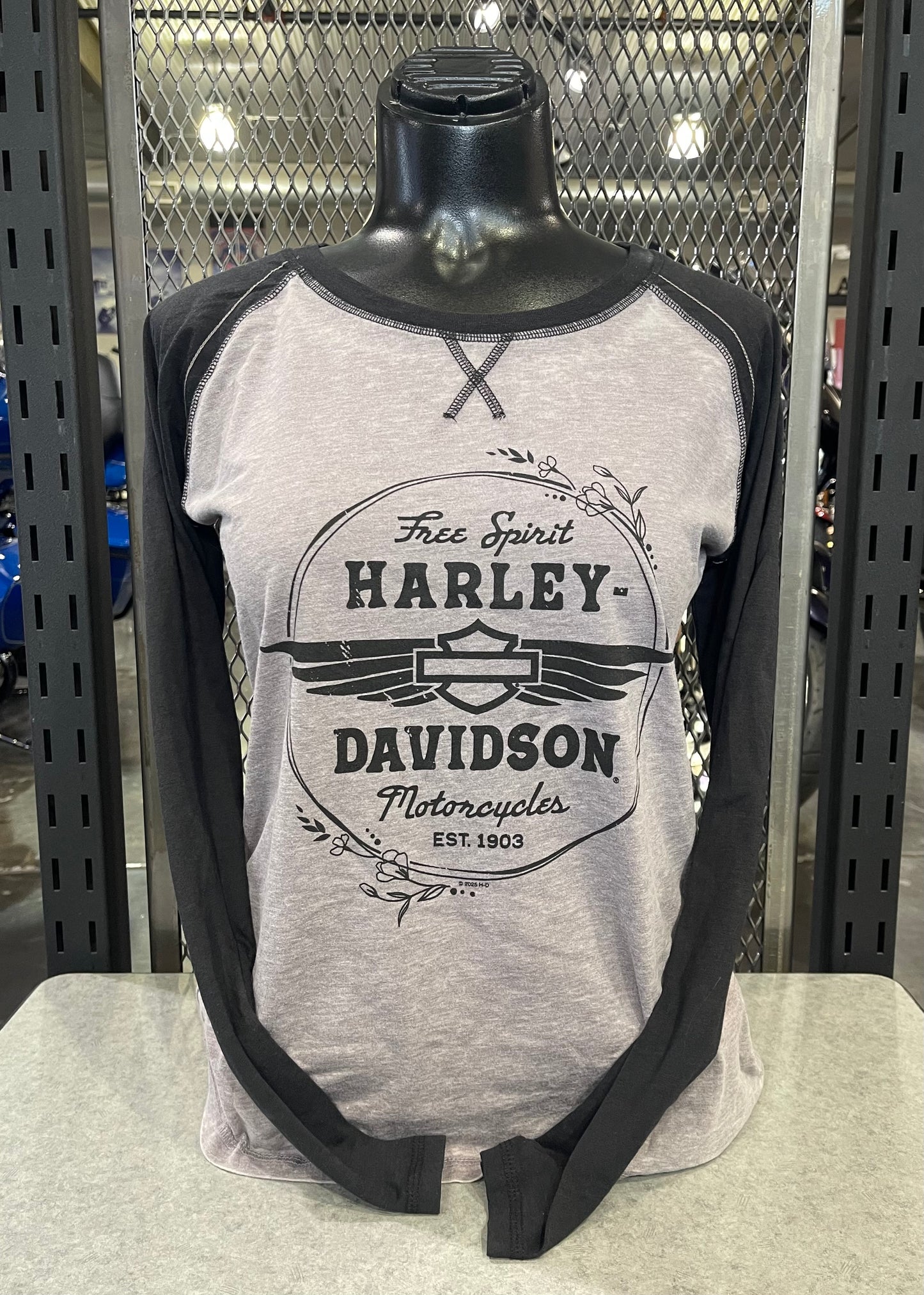 DHD - Entwine Raglan - Train Back - Womens Longsleeve