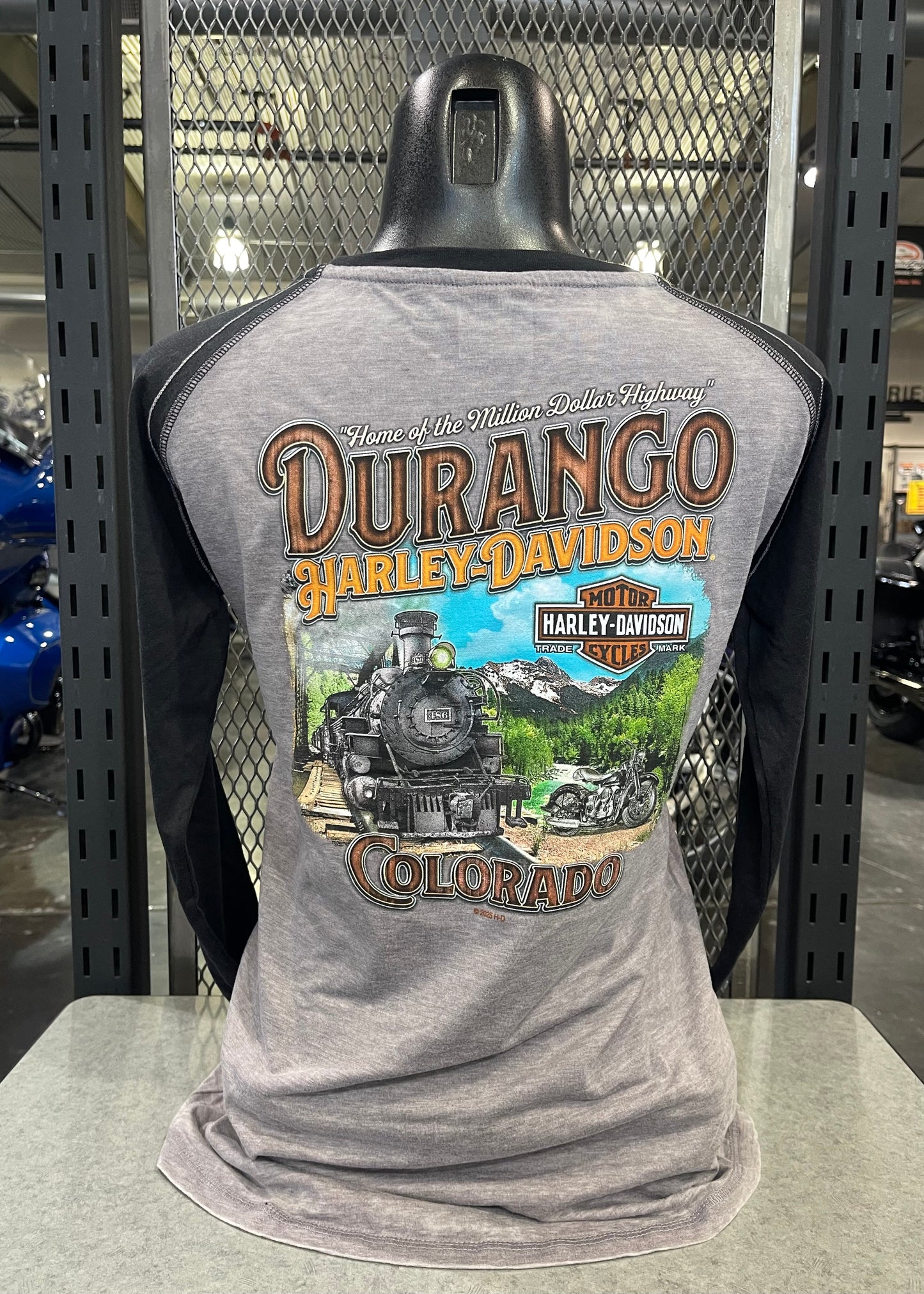 DHD - Entwine Raglan - Train Back - Womens Longsleeve