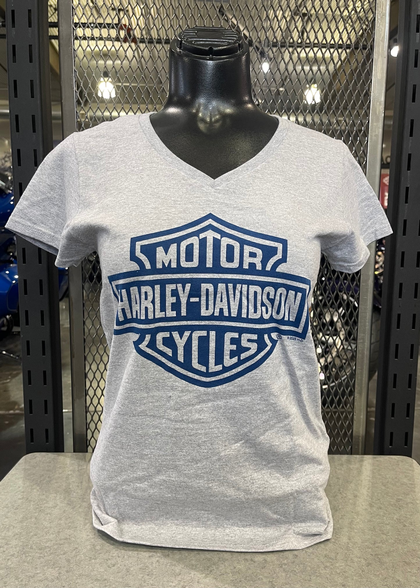 DHD - B&S - Cow Skull - Womens V-Neck Tee