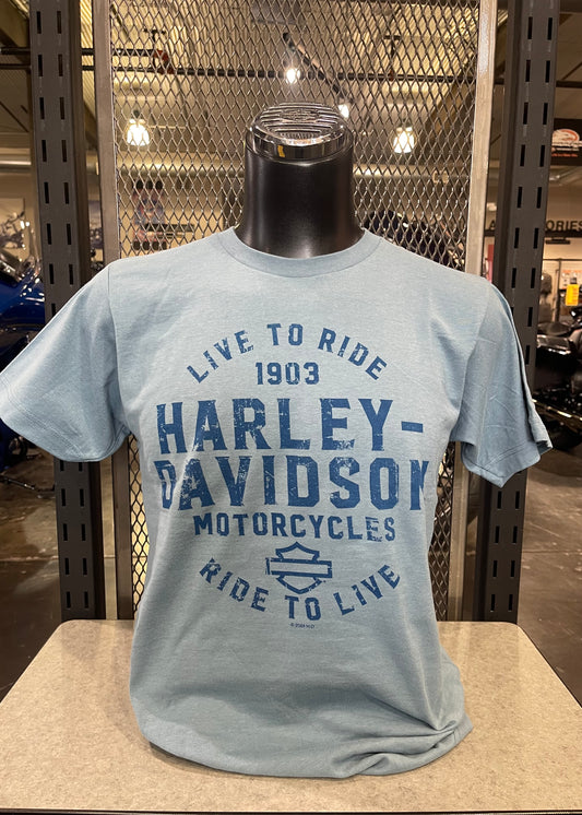 DHD Galaxy - Ghost Rider Back - T-shirt